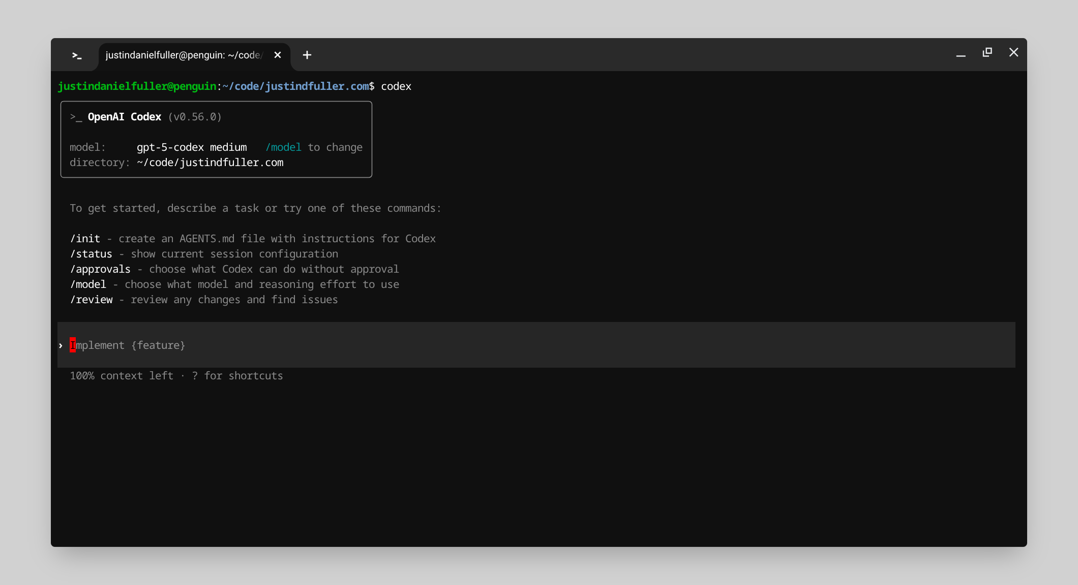 Codex in my terminal